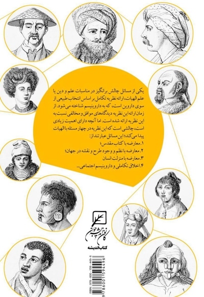 انسان میمون نیست
